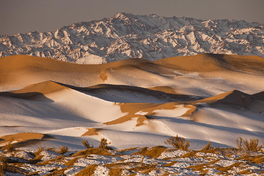 Gobi Desert climate