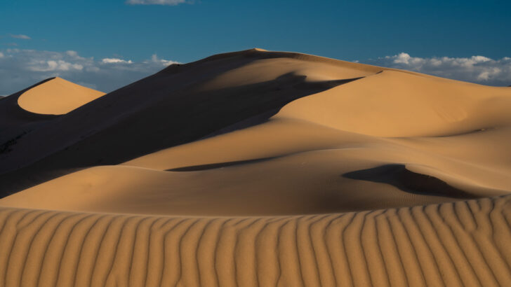 Traversing the Gobi Desert: A Cultural and Natural Expedition