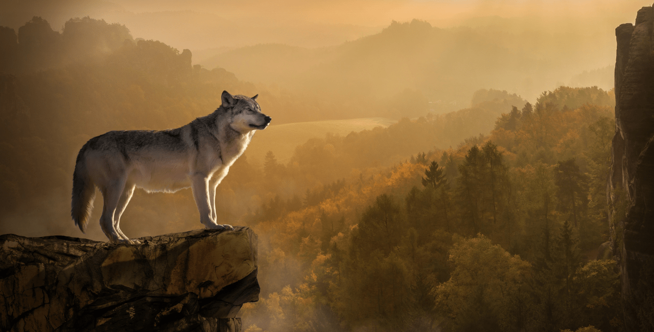 20 most dangerous National Parks