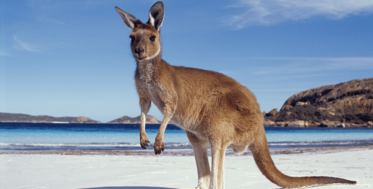 wonders of australia