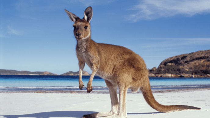 wonders of australia