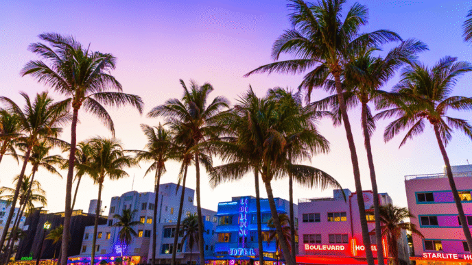 10. Things to Do in Miami