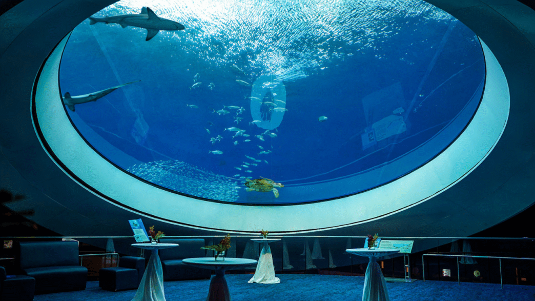 10 Things to Do in Miami