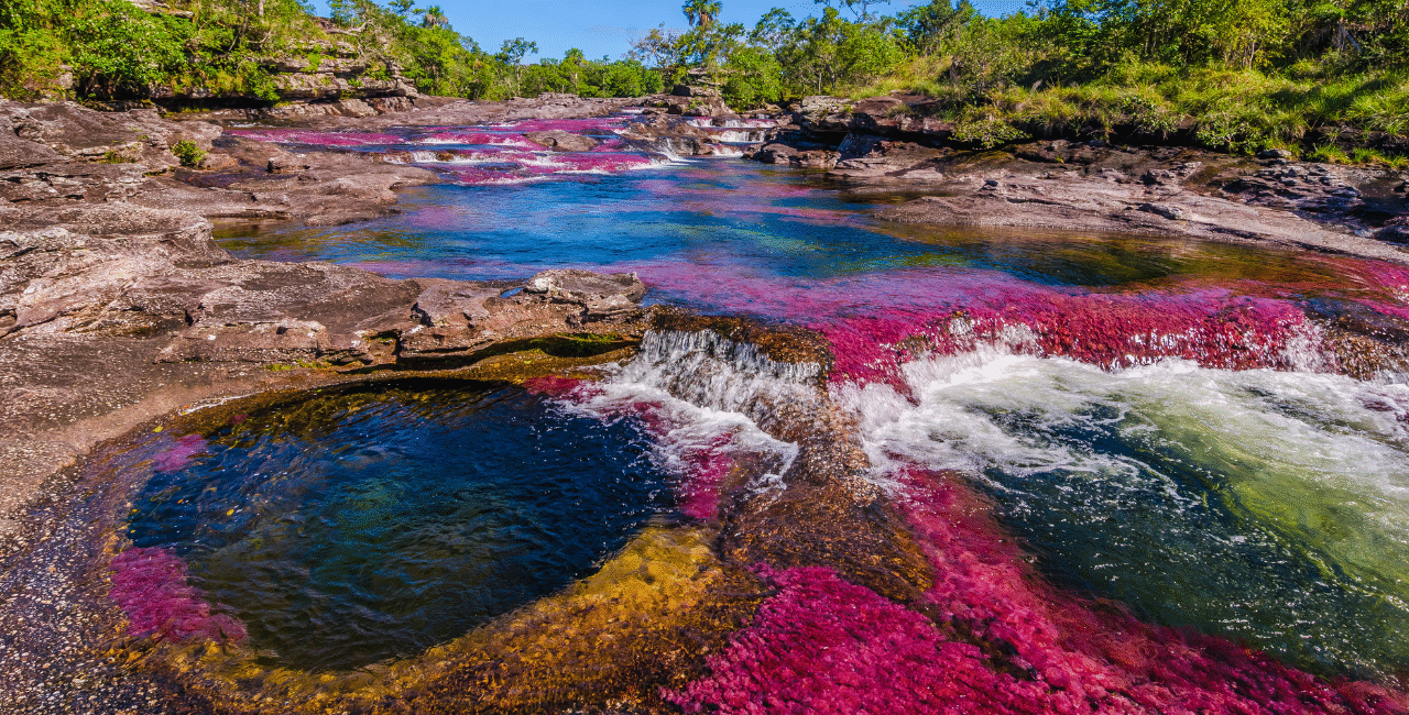 The Rainbow Waters of Caño Cristales