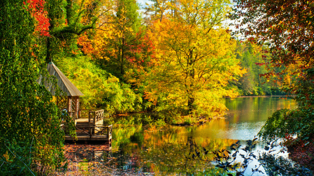 9. Asheville, North Carolina in fall