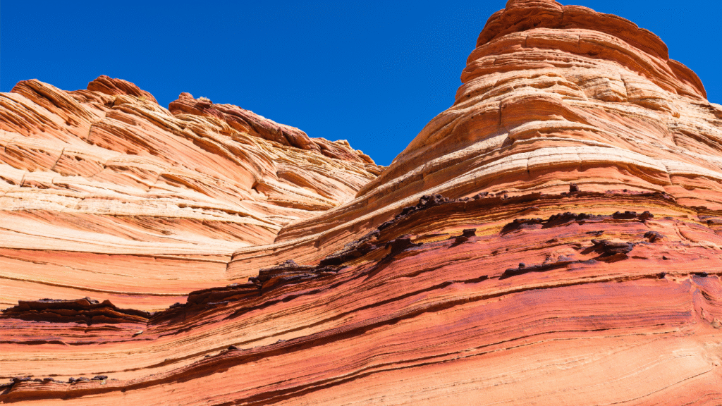 Coyote Buttes The Rock’s Rainbow