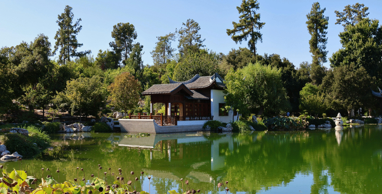 Beautiful Botanical Gardens to Visit in the U.S.