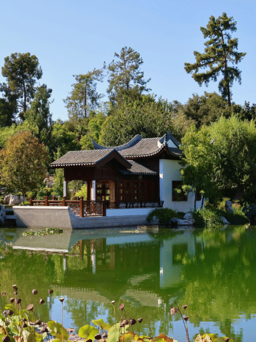 Beautiful Botanical Gardens to Visit in the U.S.
