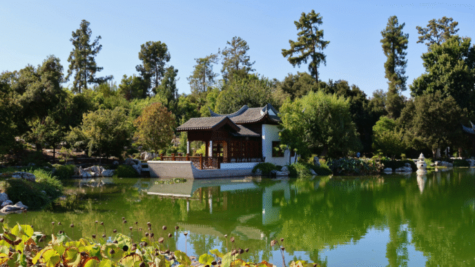 Beautiful Botanical Gardens to Visit in the U.S.