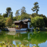 Beautiful Botanical Gardens to Visit in the U.S.