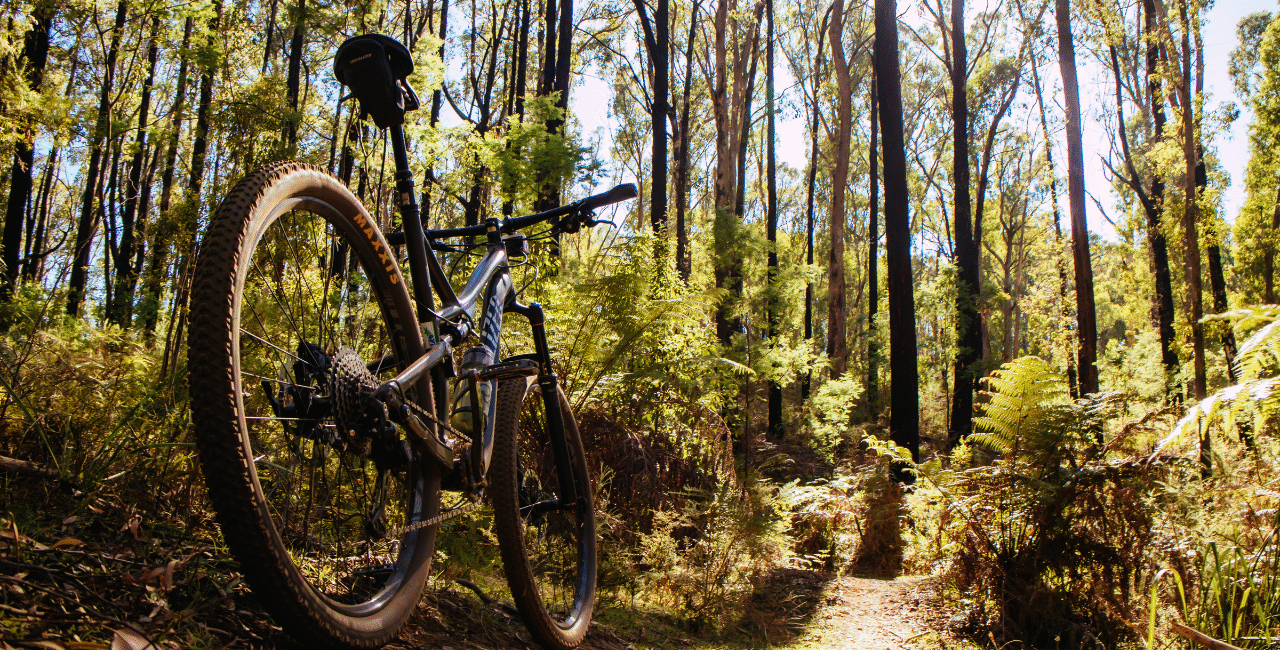 10 Rail-Trails in the U.S.