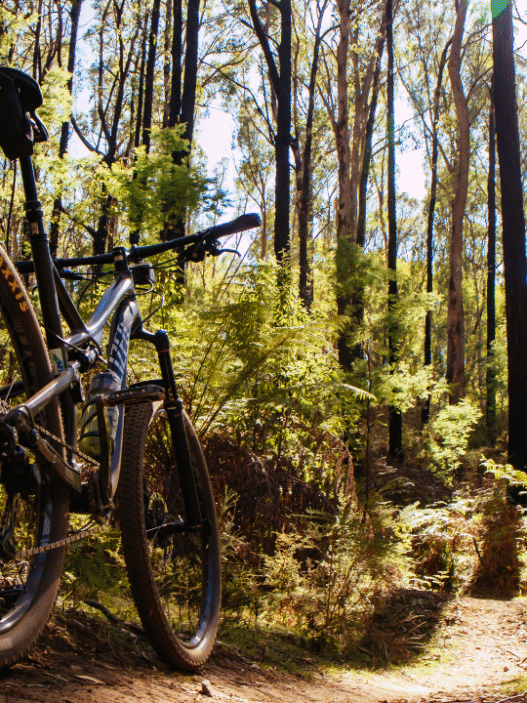 10 Rail-Trails in the U.S.