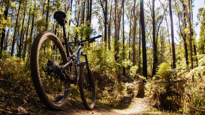 10 Rail-Trails in the U.S.