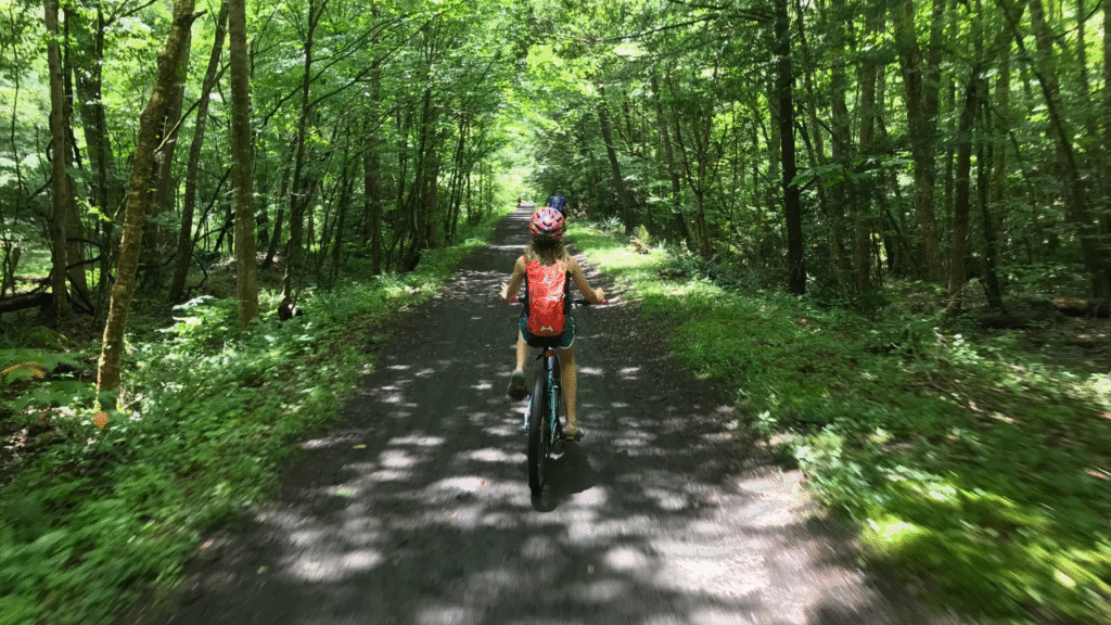 3. Virginia Creeper Trail – Virginia
