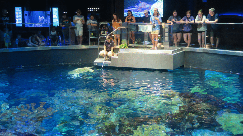 4. New England Aquarium – Boston, Massachusetts