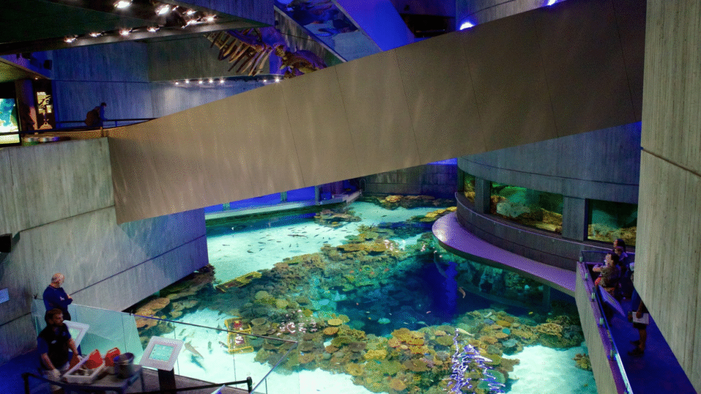 5. National Aquarium – Baltimore, Maryland