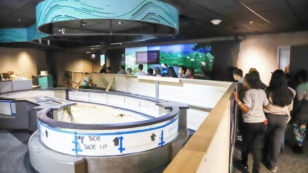 6. Tennessee Aquarium – Chattanooga, Tennessee