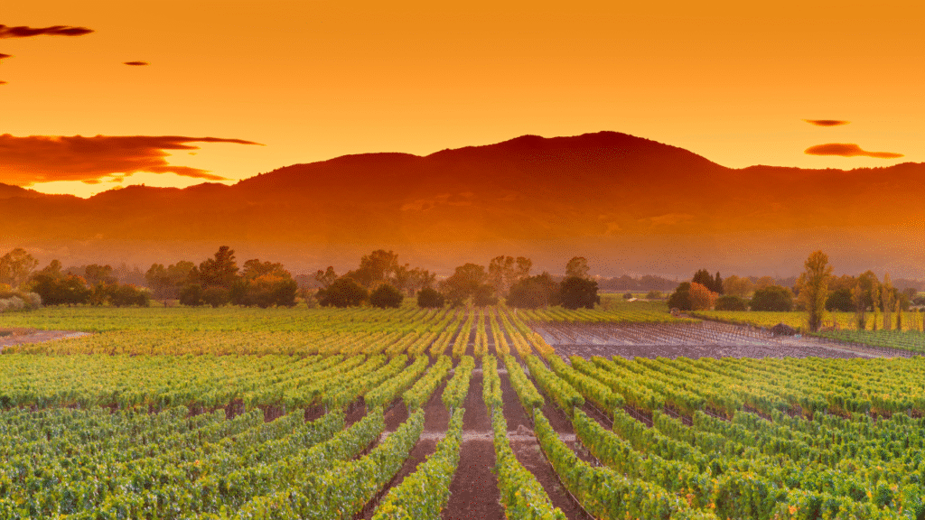 1. Napa Valley, California