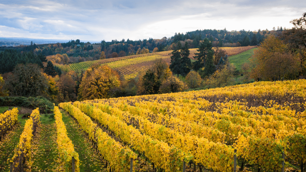 3. Willamette Valley, Oregon