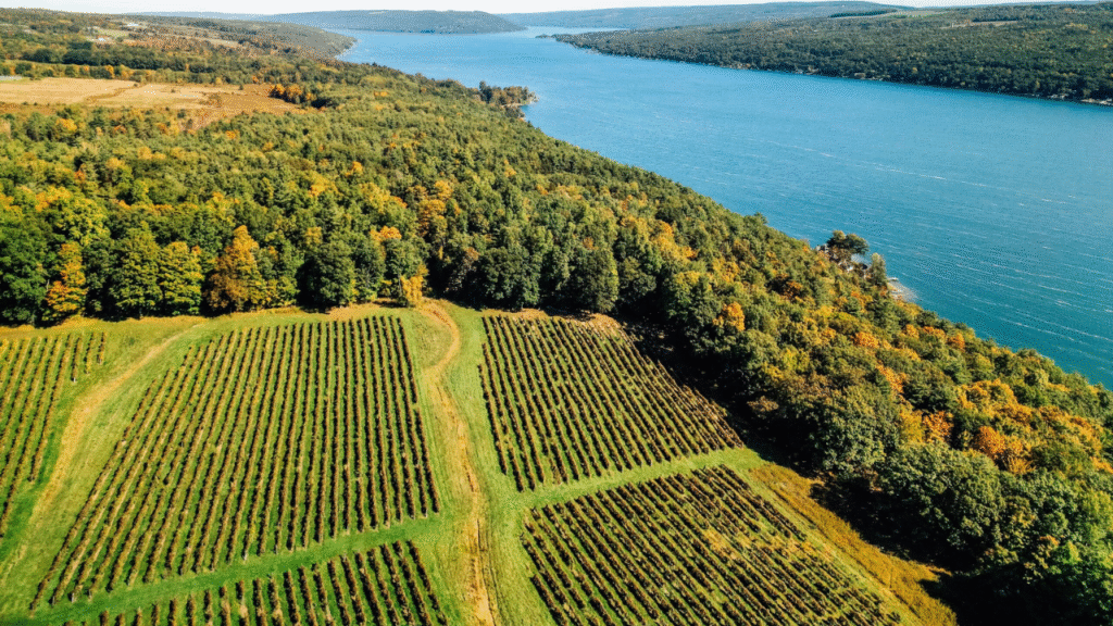 4. Finger Lakes, New York