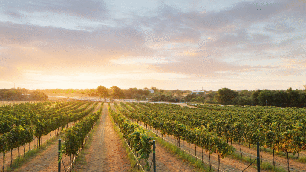 5. Texas Hill Country, Texas