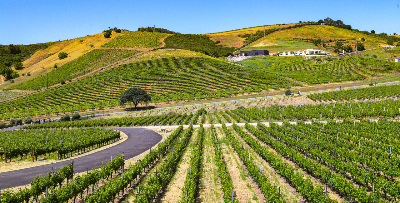 6 Wine Regions in the U.S.