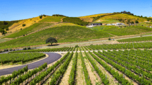6 Wine Regions in the U.S.