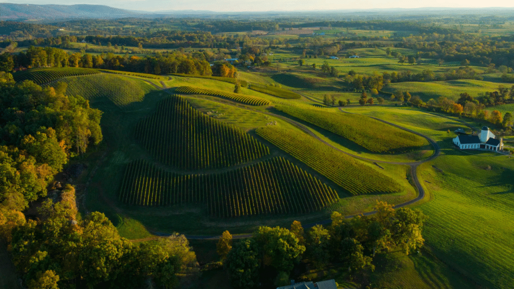 6. Virginia Wine Country, Virginia