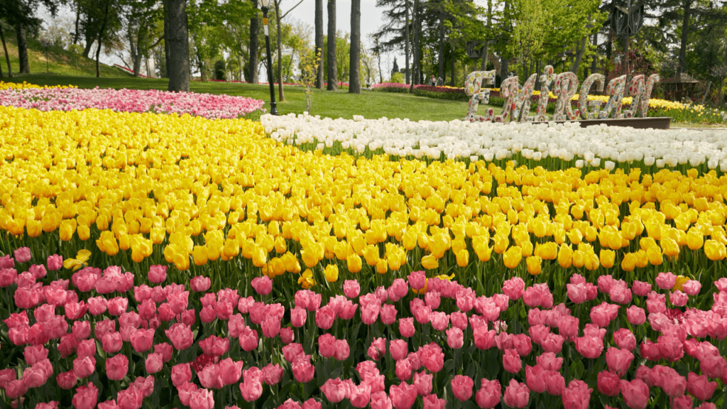 7. Emirgan Park (Yellow Pavilion Area)