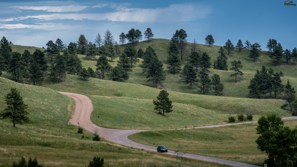 1. Custer State Park, South Dakota
