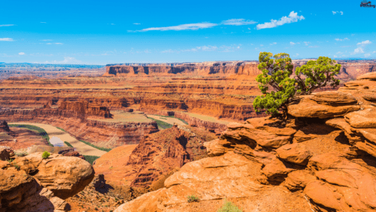 10 Best State Parks in the USA (2026 Guide)