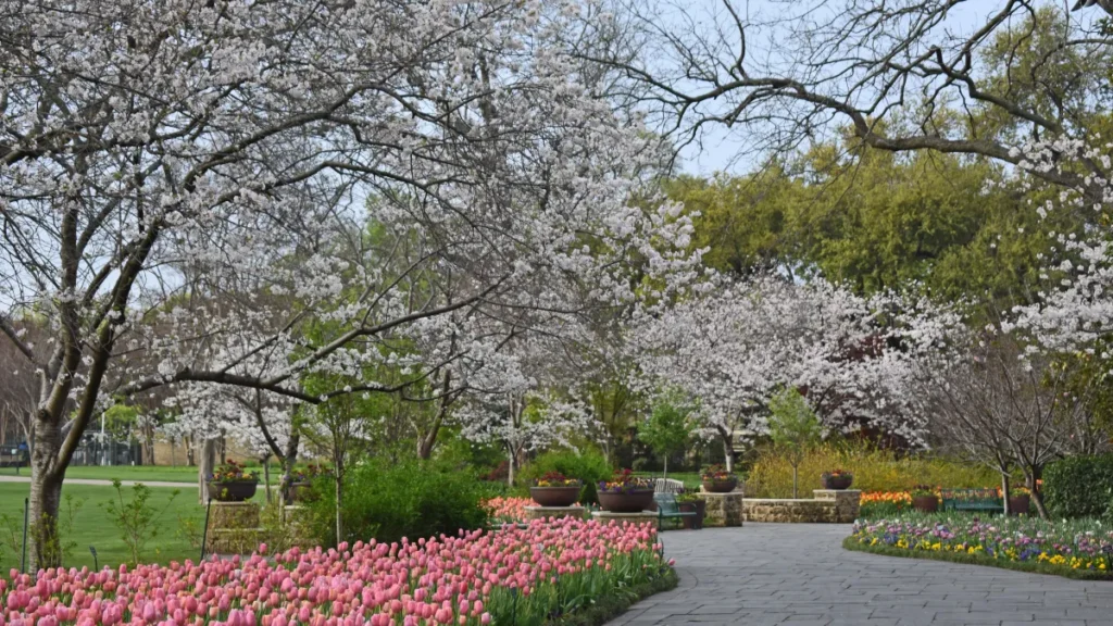 Dallas, Texas — Dallas Arboretum & Botanical Garden