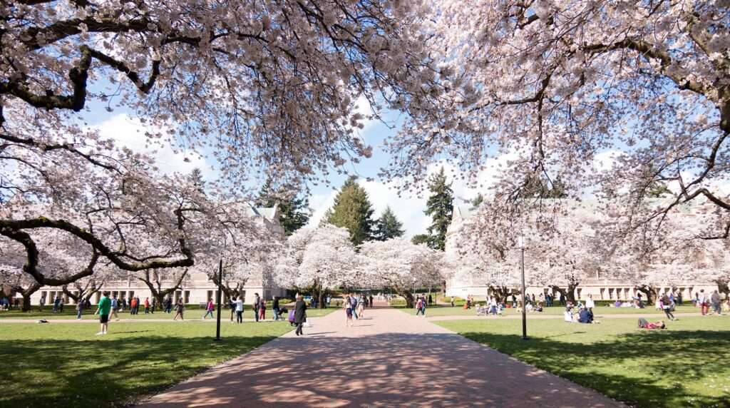 Seattle, Washington — University of Washington Quad