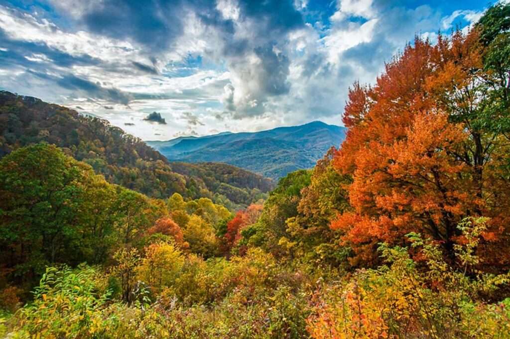 Blue Ridge Parkway