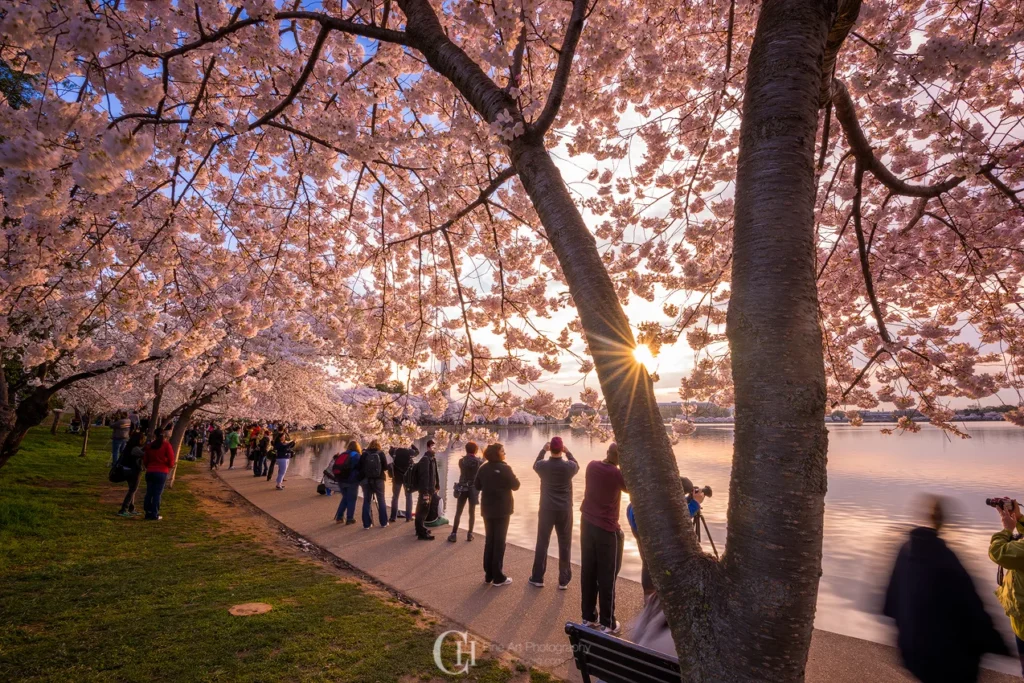 Washington, D.C. — Tidal Basin