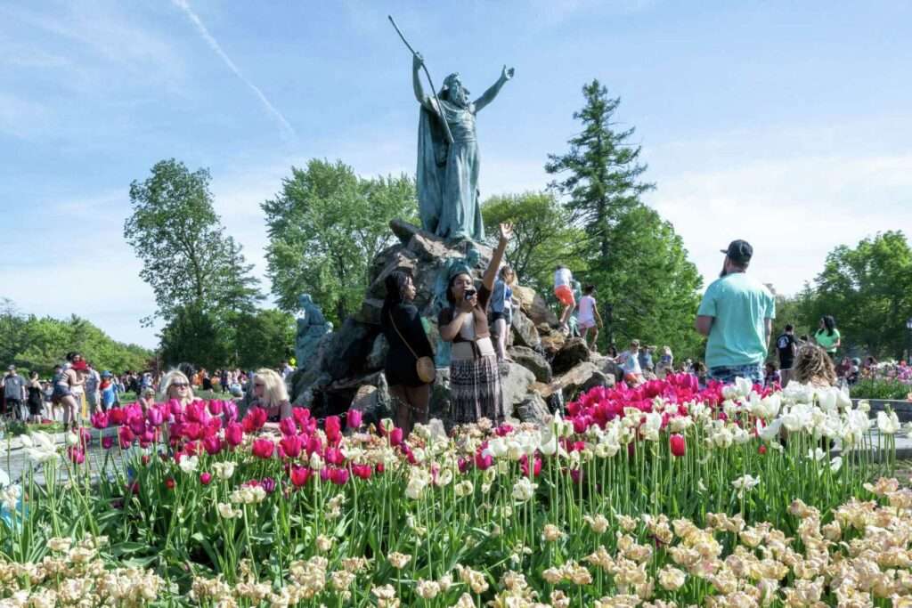 7. Albany Tulip Festival — Albany, New York