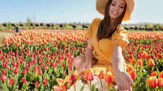 Best Tulip & Spring Flower Festivals in the USA