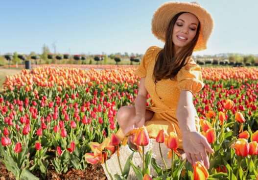 Best Tulip & Spring Flower Festivals in the USA