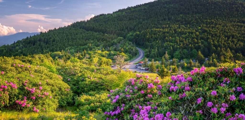 Blue Ridge Parkway, Virginia & North Carolina
