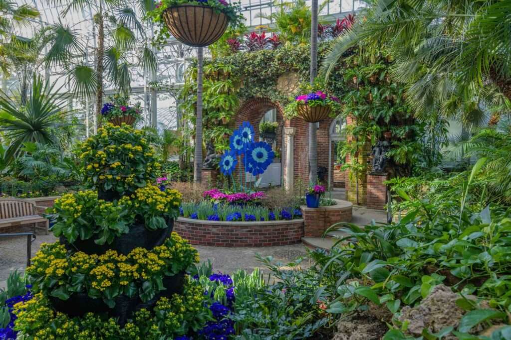 Go to a Botanical Garden or Spring Flower Display
