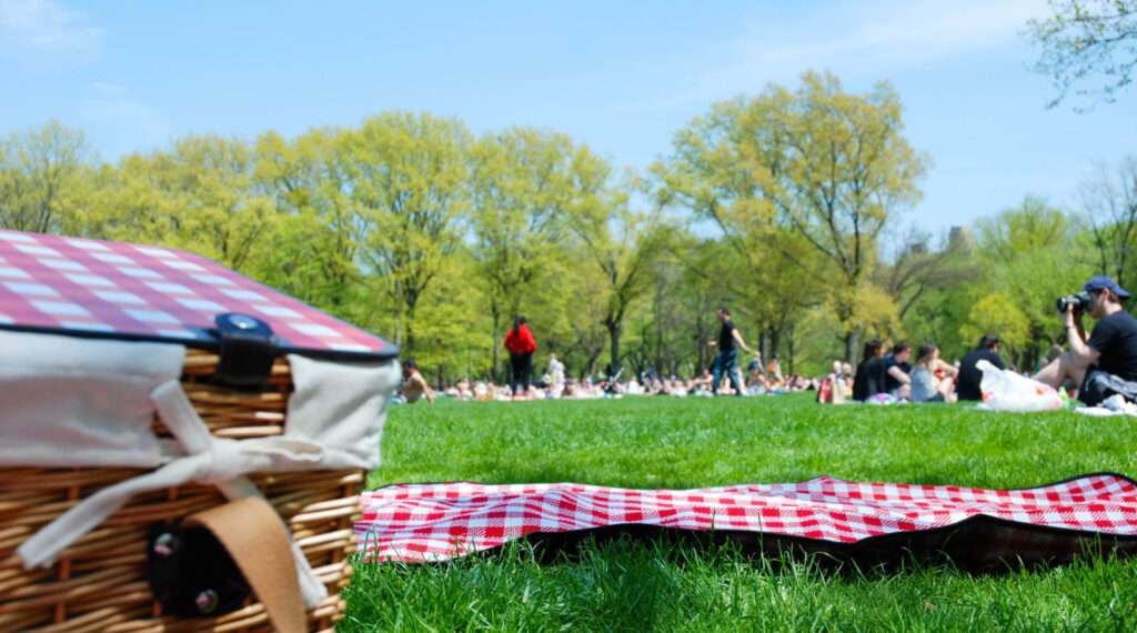 Have a Picnic Somewhere That Actually Feels Pretty