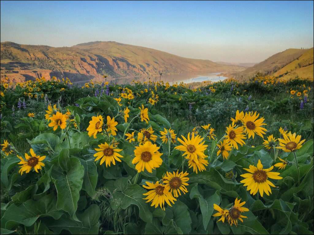 Historic Columbia River Highway to Rowena Crest, Oregon
