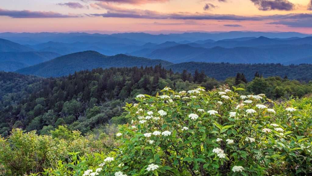 Newfound Gap Road, Great Smoky Mountains, Tennessee & North Carolina
