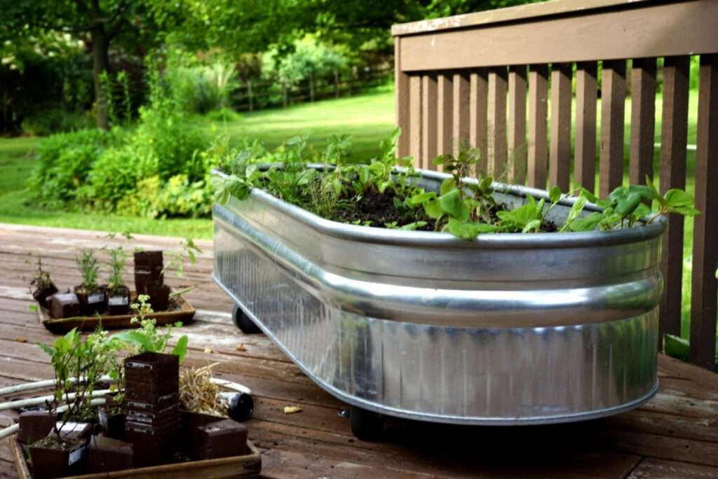 Start a Small Herb Garden You Will Actually Use
