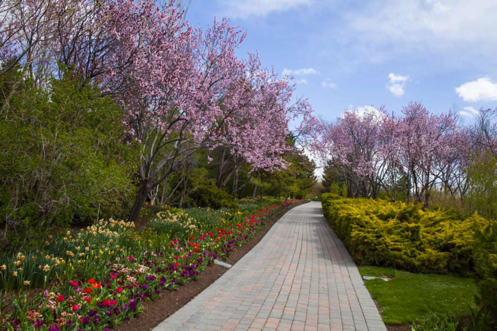 Tulip Festival at Thanksgiving Point — Lehi, Utah