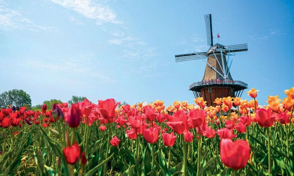 Tulip Time — Holland, Michigan