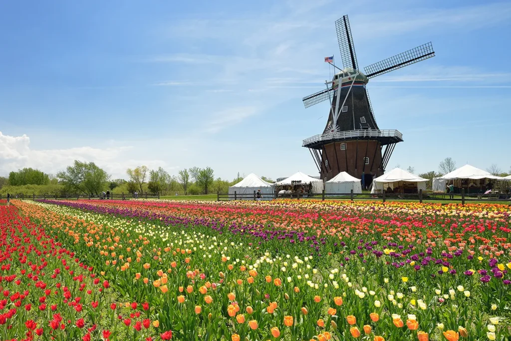 4. Tulip Time — Holland, Michigan