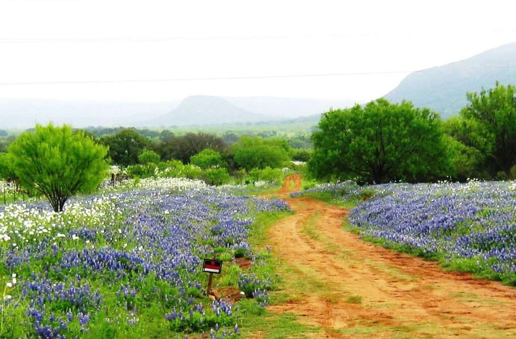 Willow City Loop, Texas Hill Country