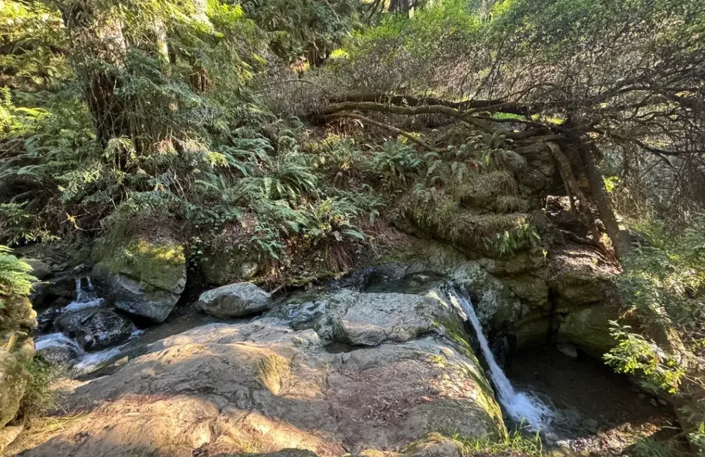 9. Steep Ravine Trail – Mount Tamalpais State Park, California