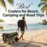 16 Best Coolers for the Beach, Camping & Road Trips